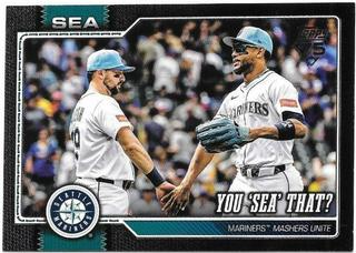 You 'Sea' That?
