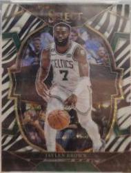 Jaylen Brown