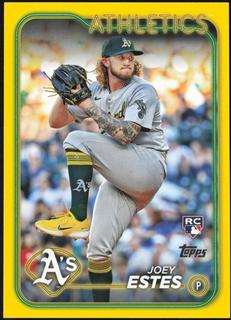 Joey Estes