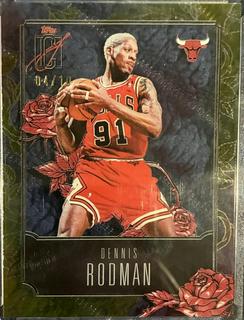Dennis Rodman