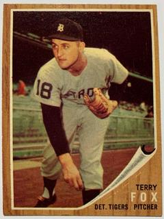 Terry Fox