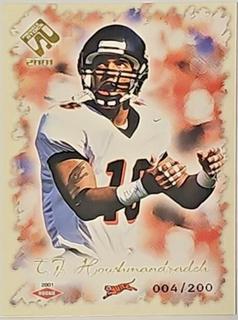 T.J. Houshmandzadeh