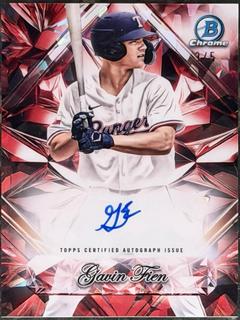 Gavin Fien