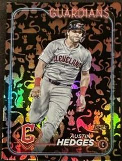 Austin Hedges