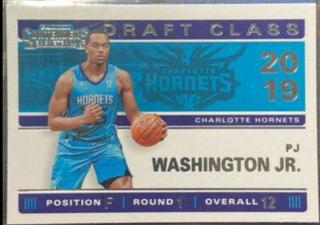 PJ Washington Jr.