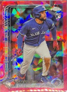 Steward Berroa