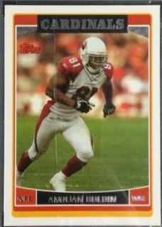 Anquan Boldin