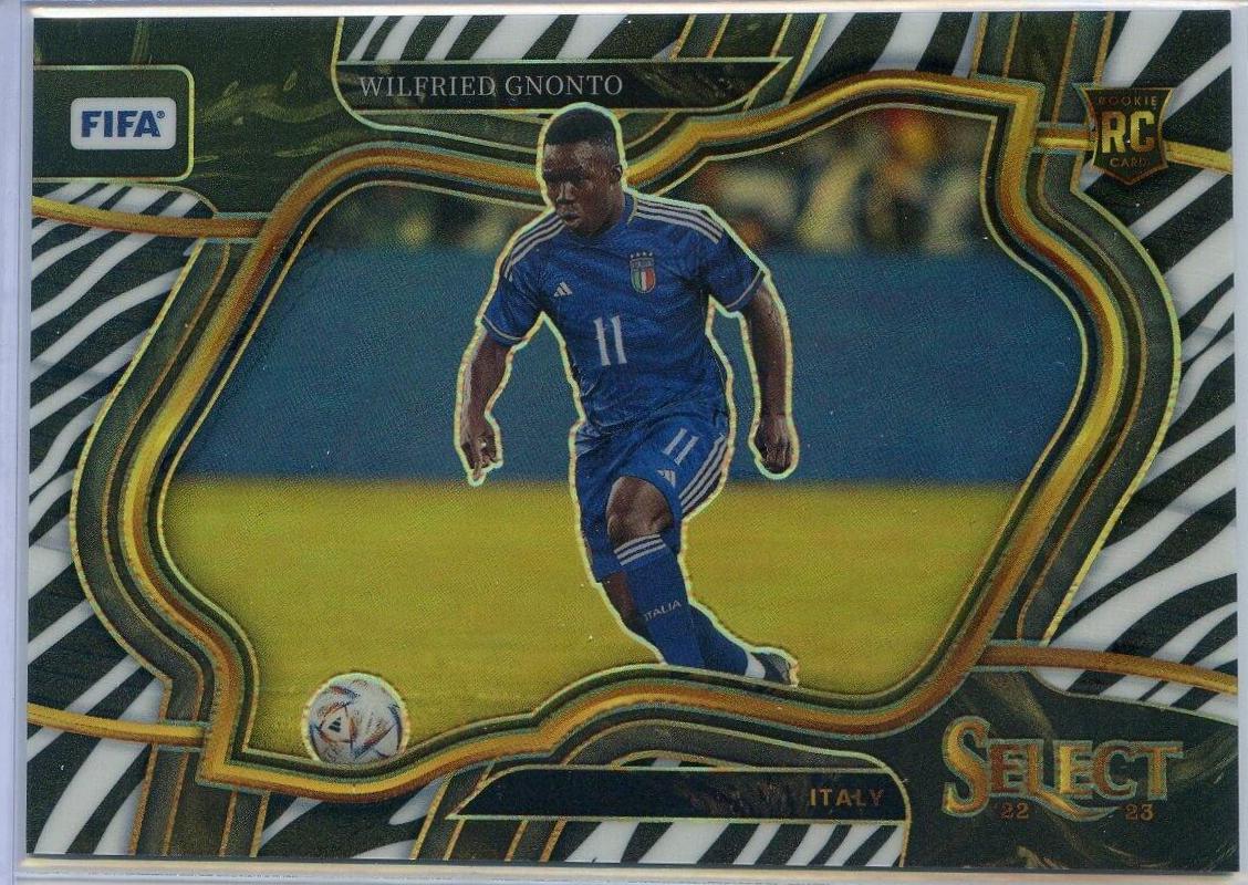 Wilfried Gnonto [Zebra] #231