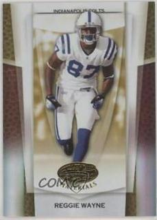 Reggie Wayne