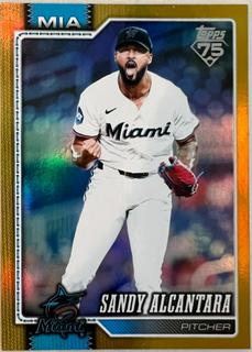 Sandy Alcantara