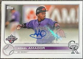 Adael Amador