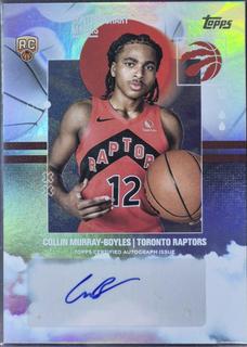 Collin Murray-Boyles