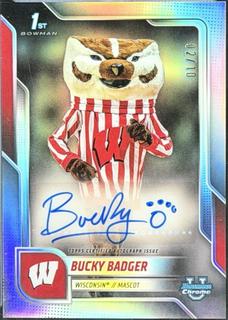 Bucky Badger