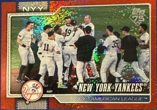 Team Card