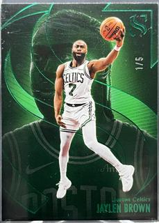 Jaylen Brown