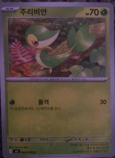 Snivy