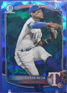 Esteban Mejia
