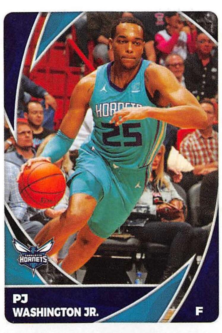 P. J. Washington Jr. #154