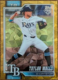 Taylor Walls