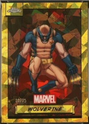 2024 Wolverine [Yellow Sapphire] #88