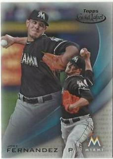 Jose Fernandez
