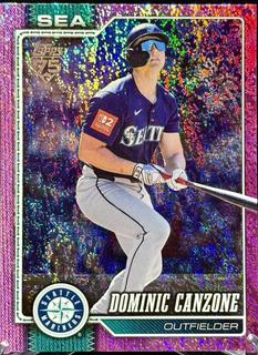 Dominic Canzone