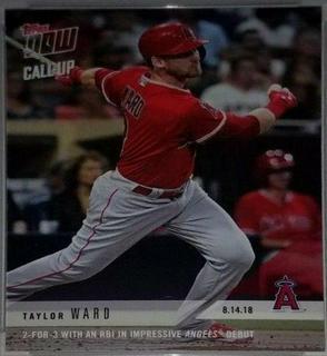 Taylor Ward