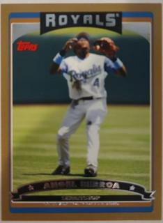 Angel Berroa