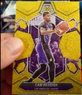 Cam Reddish