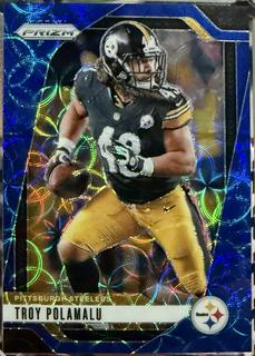 Troy Polamalu