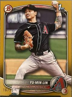 Yu-Min Lin