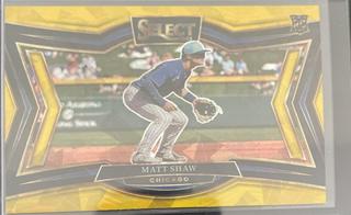 Matt Shaw