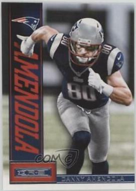 Danny Amendola #60