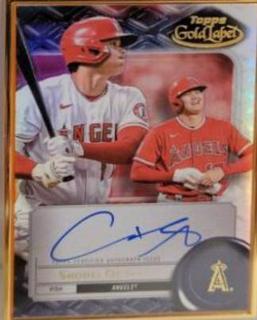 Shohei Ohtani