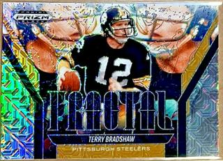 Terry Bradshaw