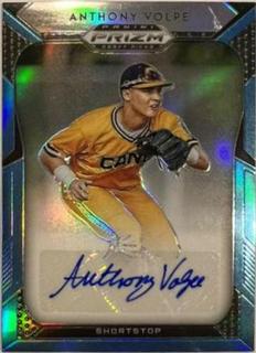 Anthony Volpe