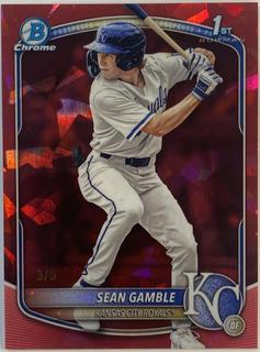 Sean Gamble
