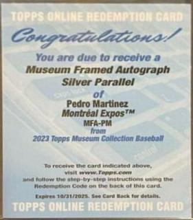 Pedro Martinez