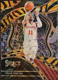 Trae Young