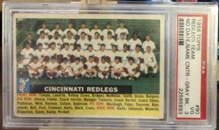 Redlegs Team