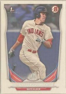 Bradley Zimmer