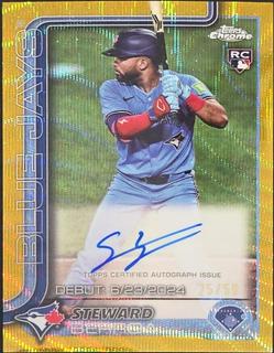 Steward Berroa