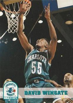 David Wingate #310 Basketball Cards 1993 Hoops