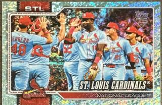 Team Card