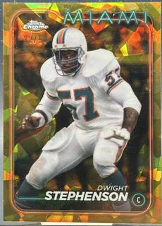 Dwight Stephenson