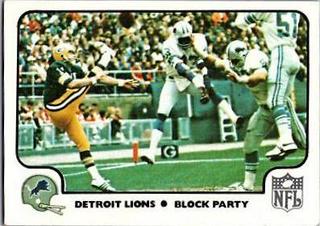 Detroit Lions