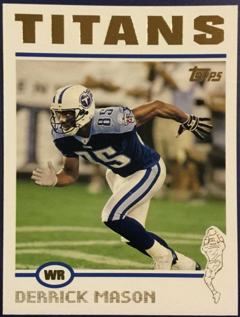Derrick Mason [Collection] #260