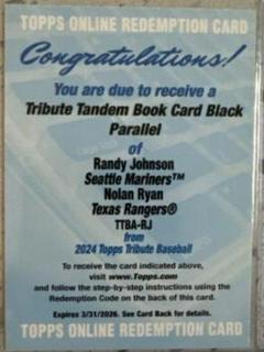 Randy Johnson