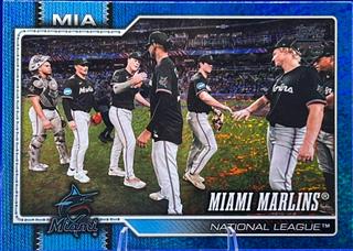 Team Card