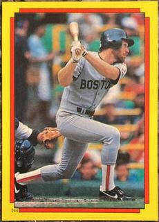 Wade Boggs, Hubie Brooks #244, 10